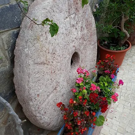 Pensjonat Micaela Charming Torremolinos